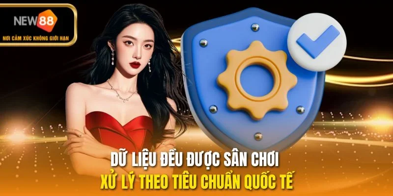 Dữ liệu đều được sân chơi xử lý theo tiêu chuẩn quốc tế