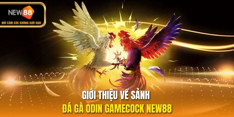Giới thiệu về sảnh đá gà Odin GameCock NEW88